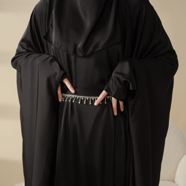 Aaira Butterfly Abaya with Crystal Tessel Lace - Image 6